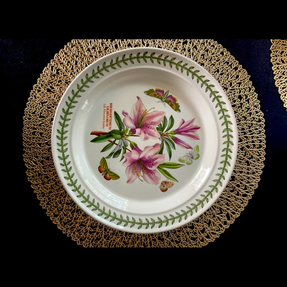 Botanic Garden
by PORTMEIRION Dinner Plate Lily Flowered Azalea - Picture 1 of 2